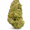 Cinderella 99 2 cinderella strain