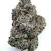 G41 Kush