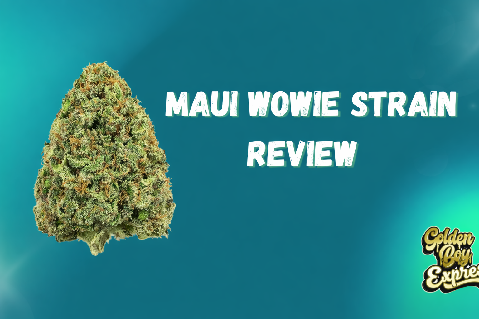 Maui Wowie Strains strain review