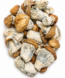 Squat Mark  Dried Mushrooms