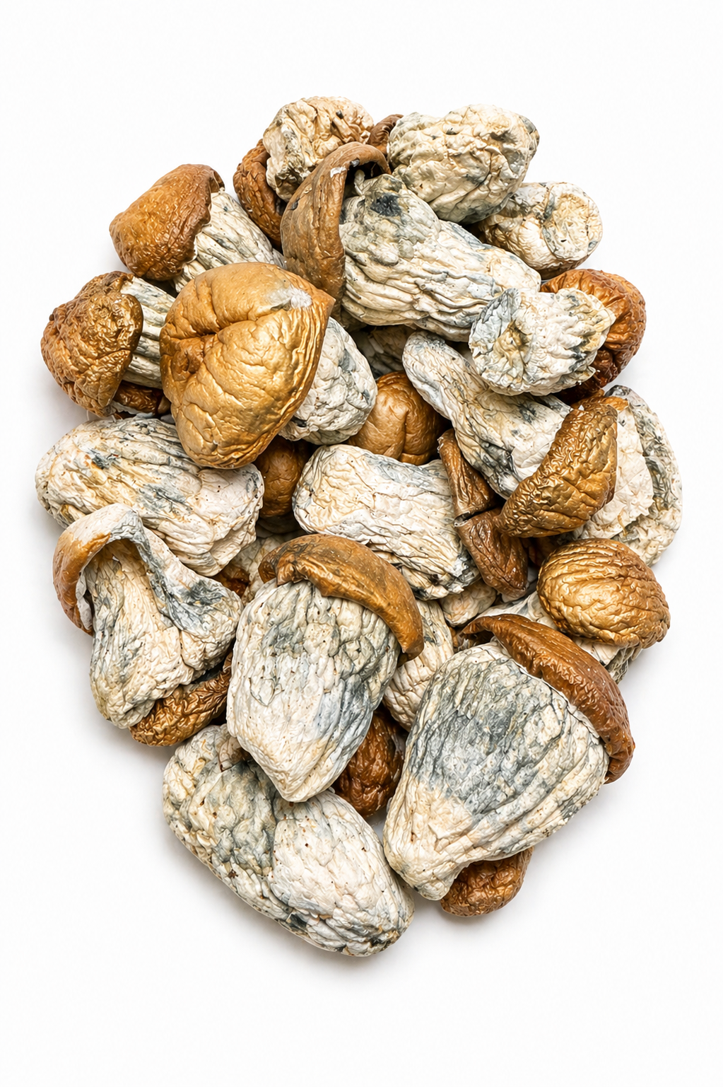 Squat Mark Dried Mushrooms 1 Squat Mark Dried Mushrooms