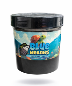 Blue Meanies 7G Dried Mushrooms Jar
