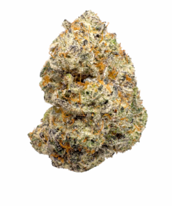 Apple Fritter Ib High 247x296