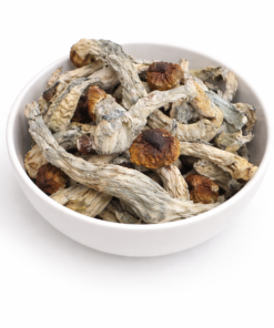 Blue Meanies Dried Mushrooms