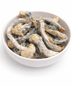 Jedi Mind Fuck Dried Mushrooms
