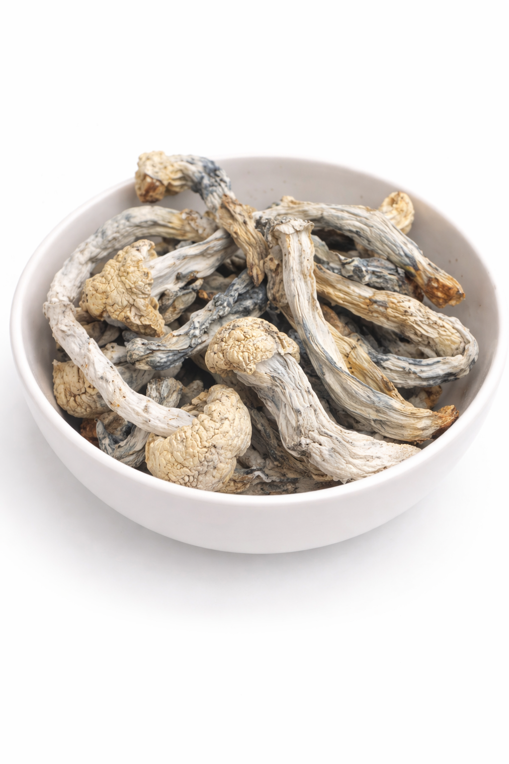 Jedi Mind Fuck Dried Mushrooms 1 Jedi Mind Fuck Dried Mushrooms