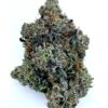 Lindsay OG 3 linsday og strain