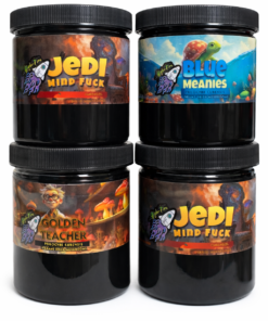 Mix & Match 28G of Dried Mushrooms