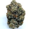 Pink Goo 4 pink coma