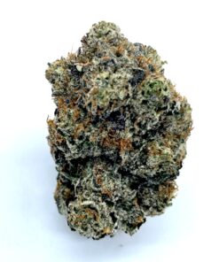 Pink Coma 247x296