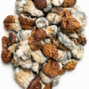 Texas Yellow Dried Mushrooms 2 texas