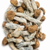 Tidal Wave Dried Mushrooms 3 tidal wave mushrooms