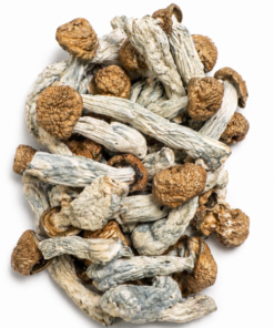 Tidal Wave Dried Mushrooms