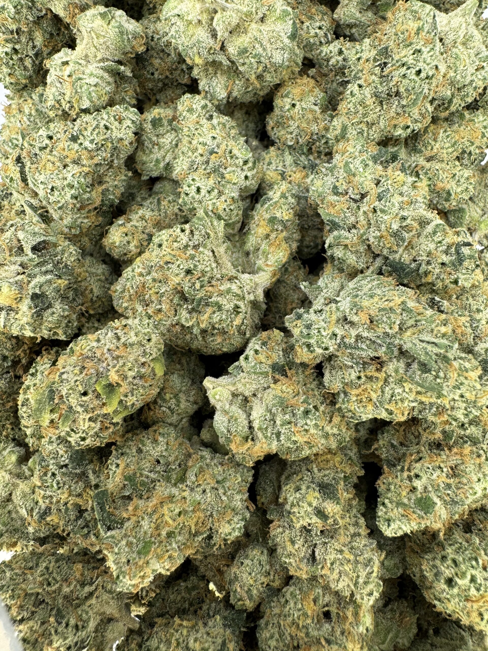 Grapefruitz Mediums 1 Grapefruitz Mediums