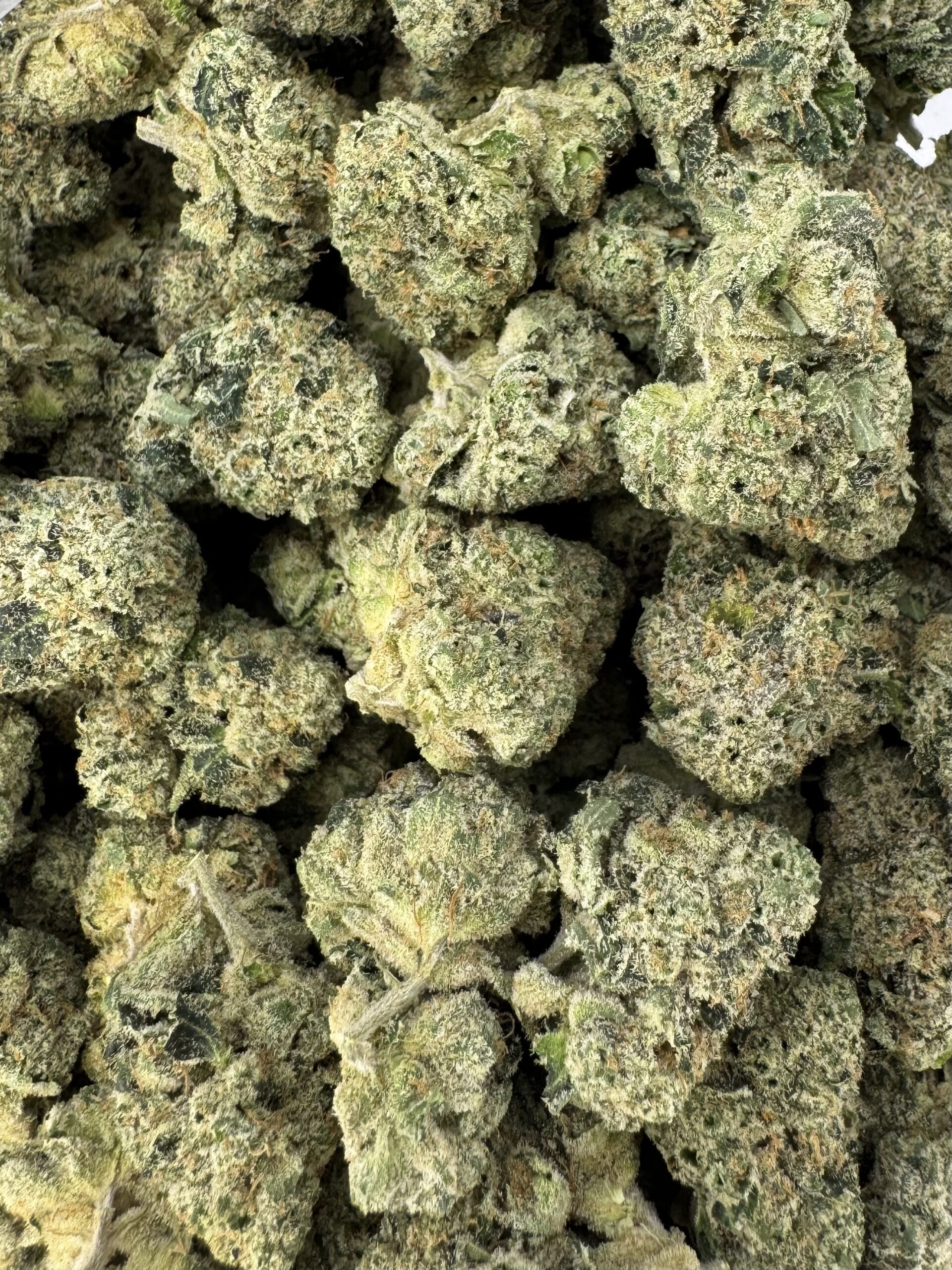 Limez Mediums 1 Limez Mediums