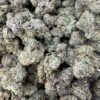Animal Cookies Meduims 4 IMG_5070