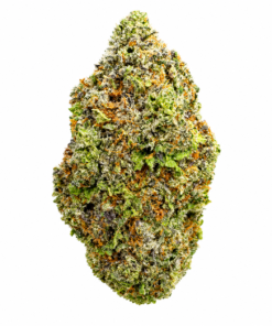 Lemon Bacio 247x296