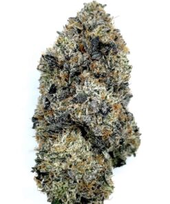 Tuna 247x296