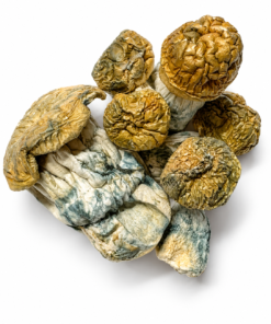 Og Melmac Dried Mushrooms