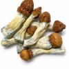 Tidal Wave Dried Mushrooms 2 Tidal wave dried mushrooms