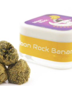Moon Rocks 1G