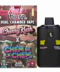 6 Gram Dual Chamber Burn Disposable Vape (3G + 3G)