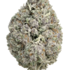 Death Bubba Private ACMPR Grower 3 death bubba private
