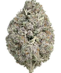 Death Bubba Private ACMPR Grower