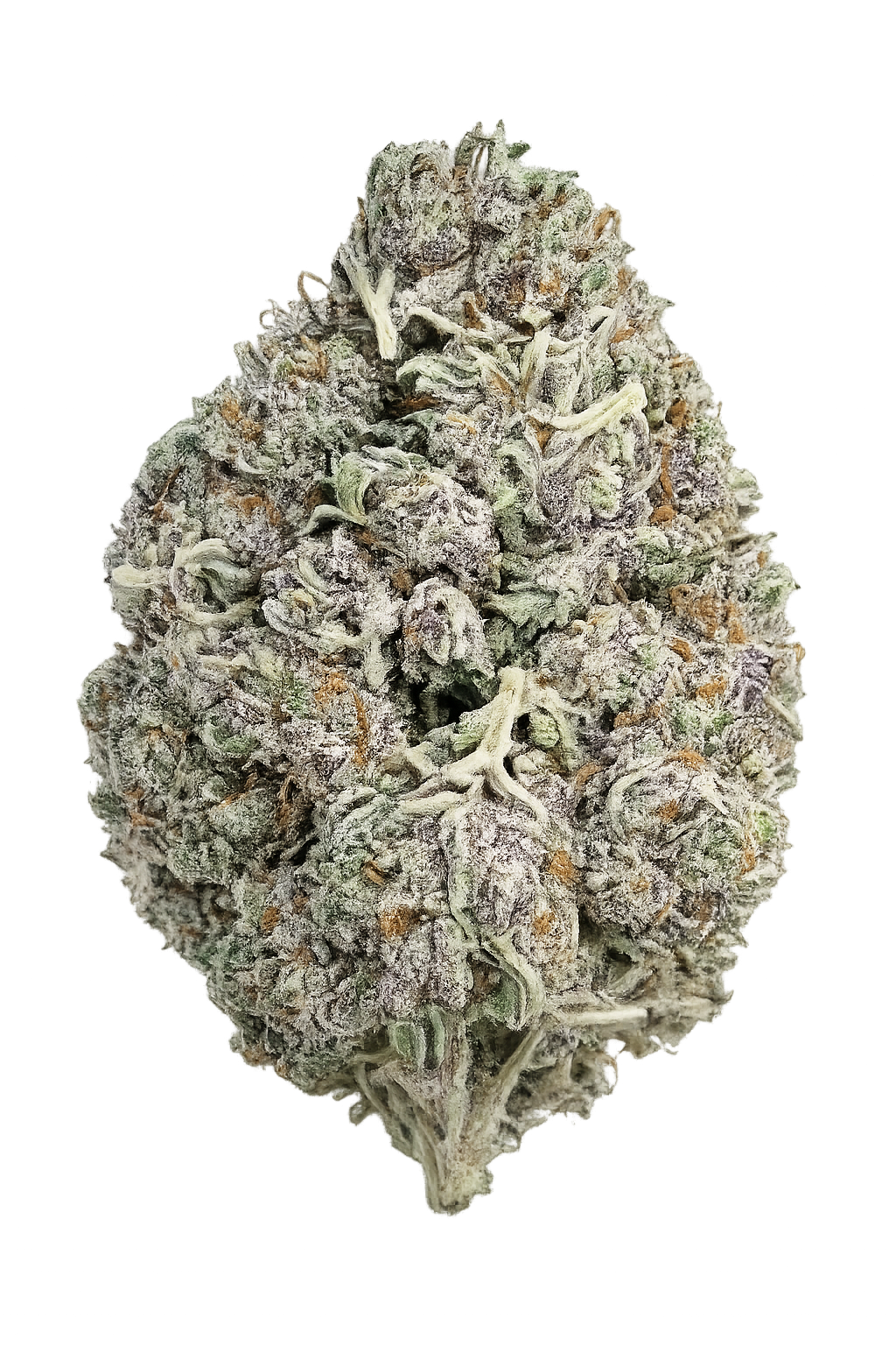 Death Bubba Private ACMPR Grower 1 Death Bubba Private ACMPR Grower