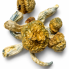 Nutcracker Dried Mushrooms 3 nutcrackrer