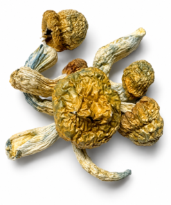 Nutcracker Dried Mushrooms