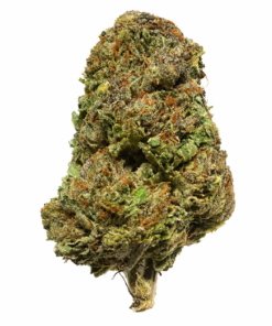 Legend OG