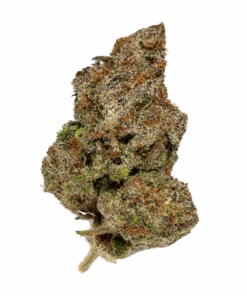 Cream Cake