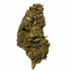 Larry Kush 2 larry kush