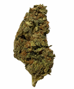 Larry Kush