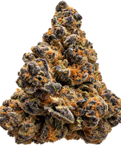 Purple Og