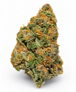 Black Cherry Punch