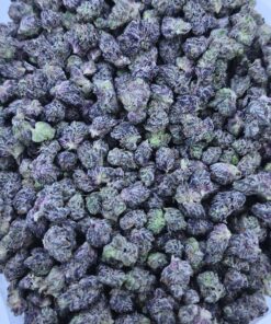 Northern Black Gas Mediums