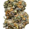 Black Domina 4 Black Domina