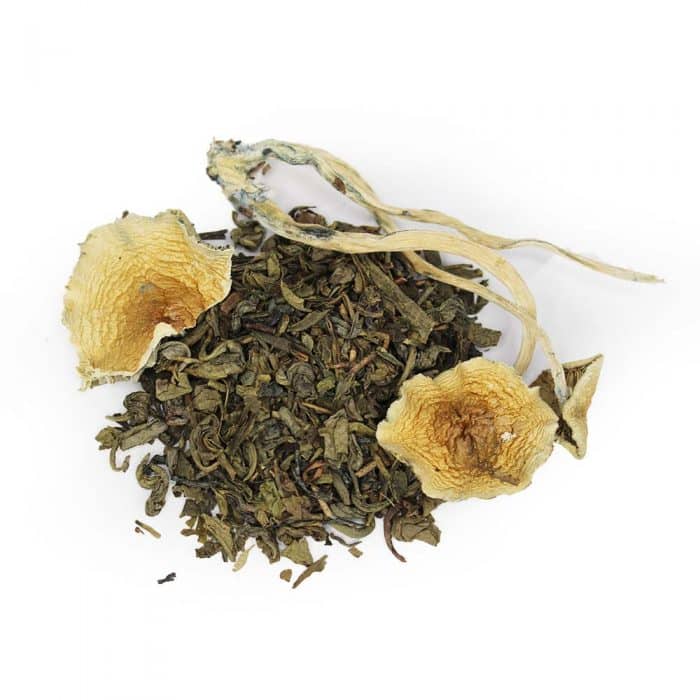 Psychedelics Mushroom Tea 4 Psychedelics Mushroom Tea - Image 4