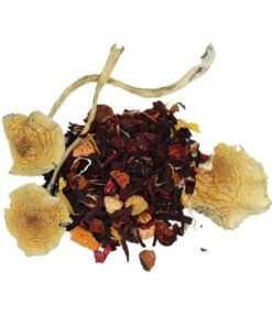 Alternative view of Psychedelics Mushroom Tea