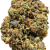 Face Gas 2 Face Gas