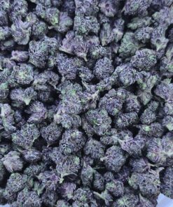 Purple Octane Mediums