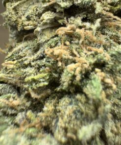 Pine Tar Kush 3 IMG 7068
