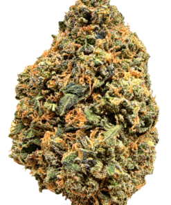 Pink Bubba