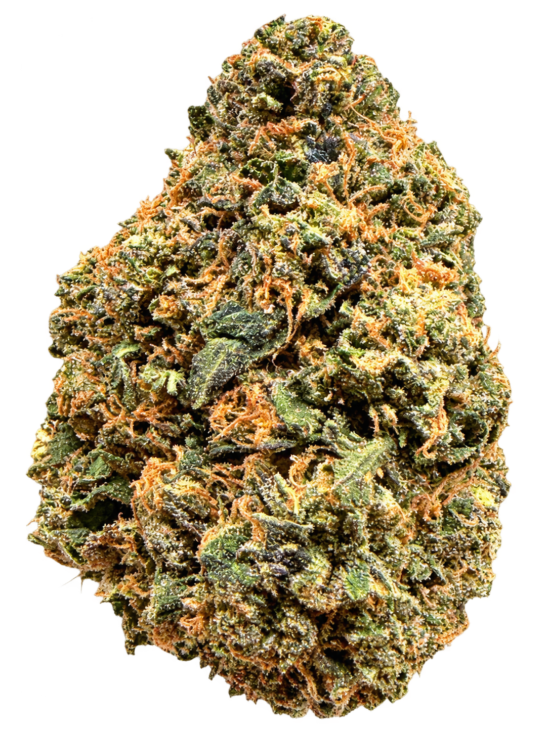 Pink Bubba 1 Pink Bubba