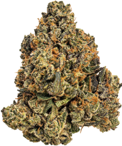 Pink Lindsay OG
