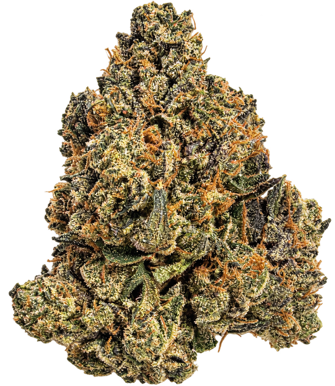 Pink Lindsay OG 1 Pink Lindsay OG