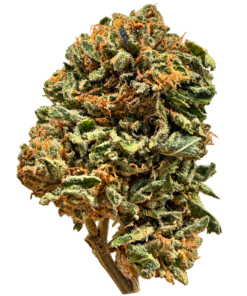 Cap Junky