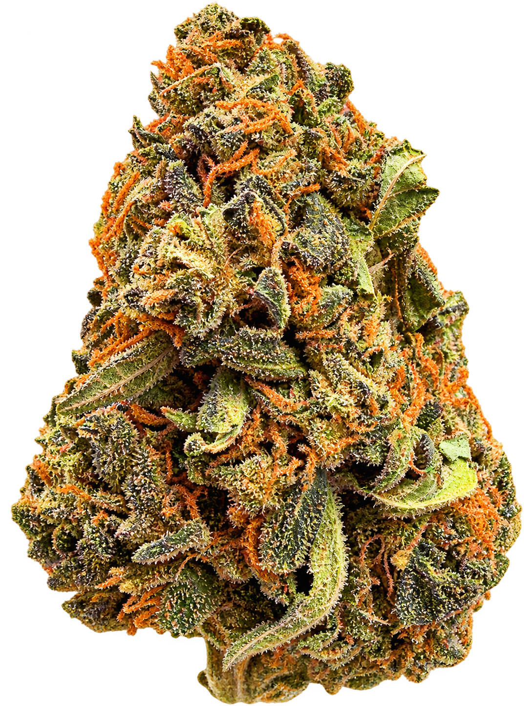 LA. Kush 1 LA. Kush
